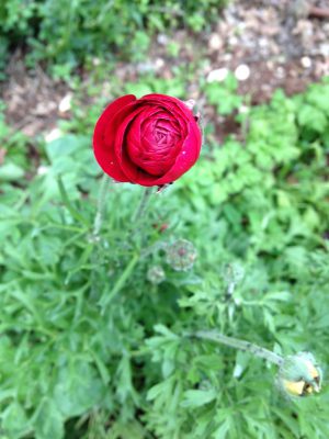 IMG_0857 IMG_0857